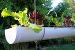 2 варіанти вертикального саду з водостічних жолобів